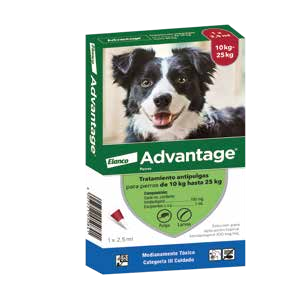 Imidacloprid 100 mg + Excipientes c.s.p. 1 mL - Image 2