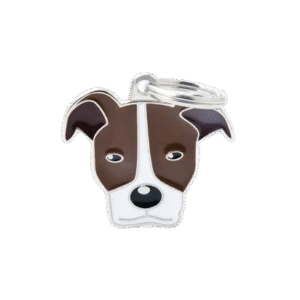 Placa Friends Pitbull