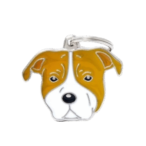 Placa Friends American Staffordshire Terrier