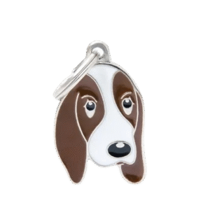 Placa Friends Basset Hound
