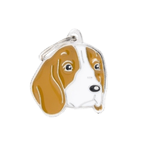 Placa Friends Beagle