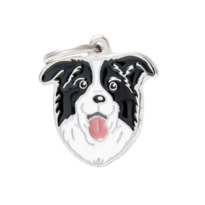 Placa Friends Border Collie