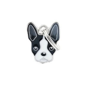 Placa Friends Boston Terrier