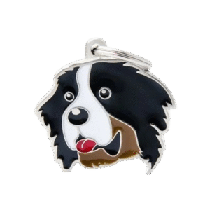 Placa Friends Boyero de Berna