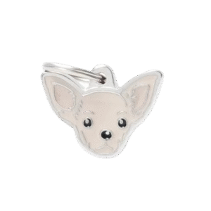 Placa Friends Chihuahueño Nuevo