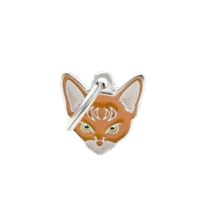 Placa Friends Gato Abisino