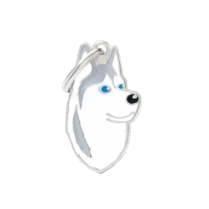 Placa Friends Husky Siberiano
