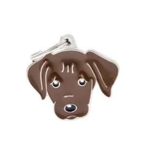 Placa Friends Labrador Chocolate