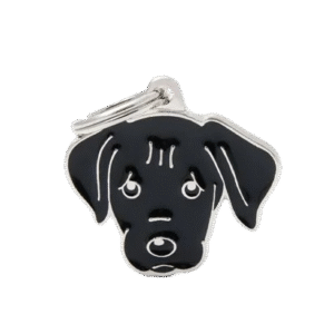 Placa Friends Labrador Negro