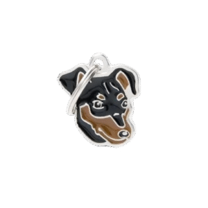 Placa Friends Nuevo Pinscher Negro y Fuego