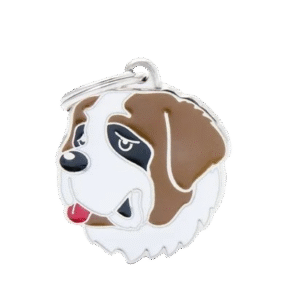 Placa Friends San Bernardo