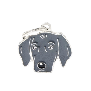 Placa Friends Weimaraner