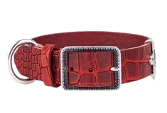 Collar Tucson Collection