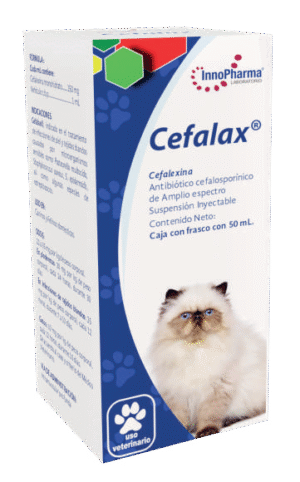 Cefalax®