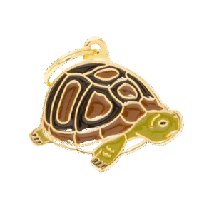 Placa Wild - Tortuga