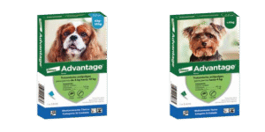 Imidacloprid 100 mg + Excipientes c.s.p. 1 mL