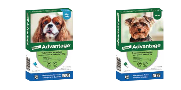 Imidacloprid 100 mg + Excipientes c.s.p. 1 mL